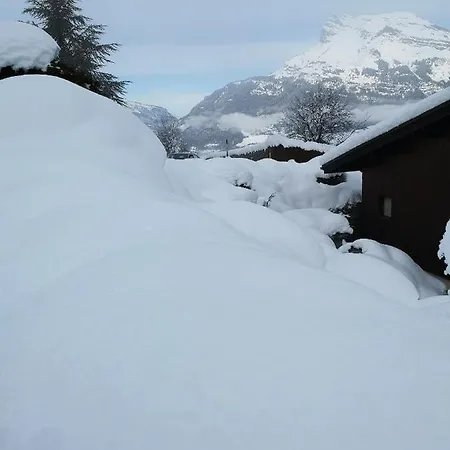 Le Petit Chamois